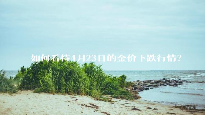 如何看待4月23日的金价下跌行情？