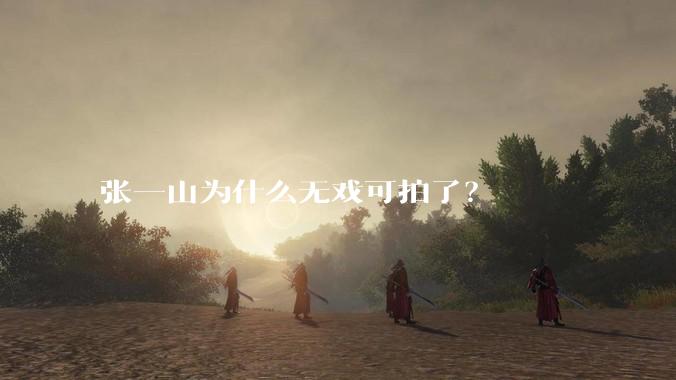 张一山为什么无戏可拍了？