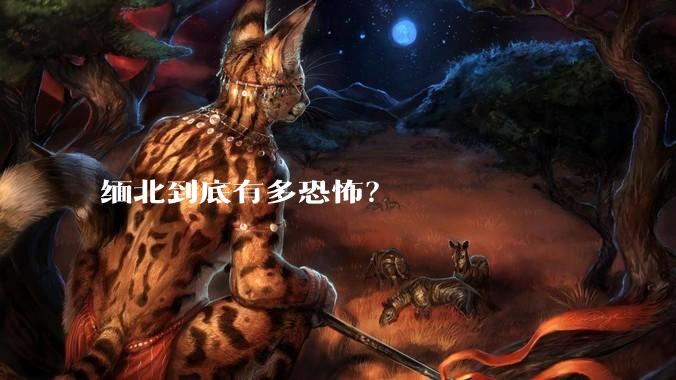 缅北到底有多恐怖？