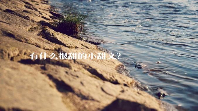 有什么很甜的小甜文？