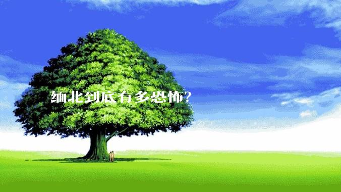 缅北到底有多恐怖？