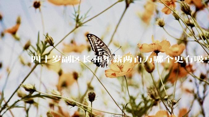 四十岁副区长和年薪两百万哪个更有吸引力？