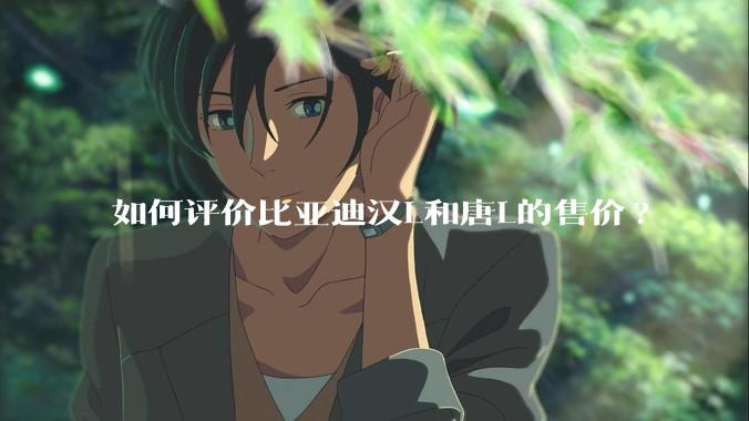 如何评价比亚迪汉L和唐L的售价?