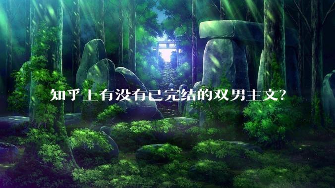 知乎上有没有已完结的双男主文？